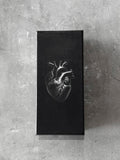 Depression Vol.11 Socks Set
