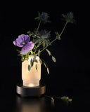 Serax Vase/Table Lamp Black White Luce
