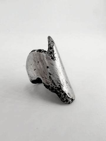 Pauwels R005