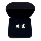 Darkr8m Earring